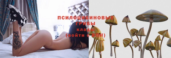 шишки Магадан