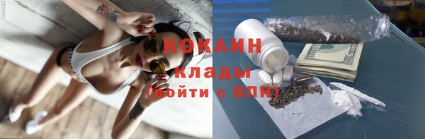 шишки Магадан