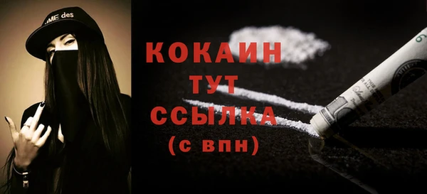 шишки Магадан