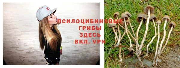 крисы Майский