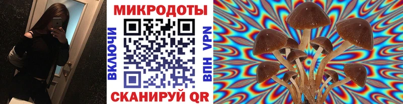 Псилоцибиновые грибы Psilocybine cubensis  Шиханы 